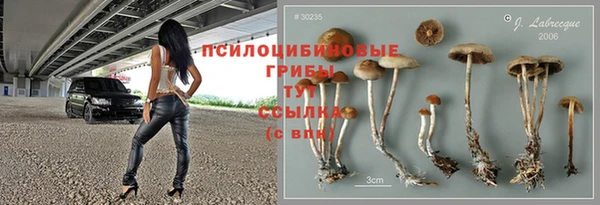 стафф Лихославль